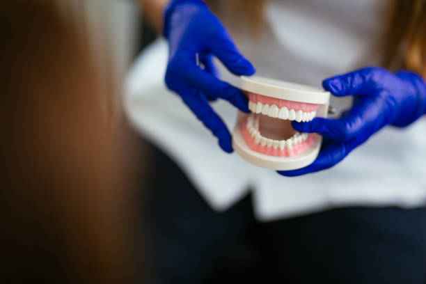 New Whiteland, IN Holistic Dental Care Services Company